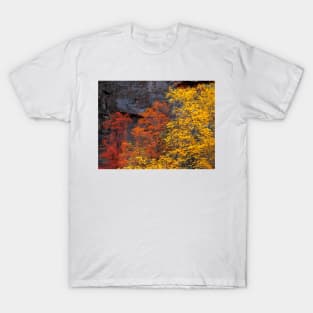 Zion Falls Colors T-Shirt